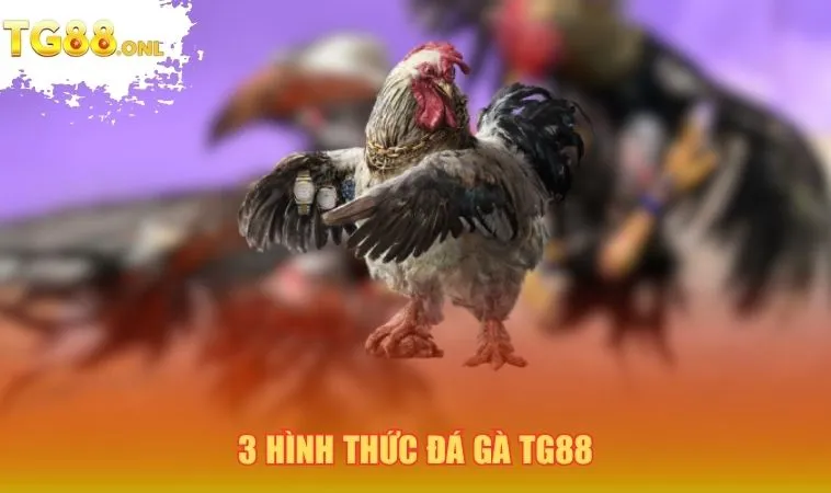 3 hình thức đá gà TG88