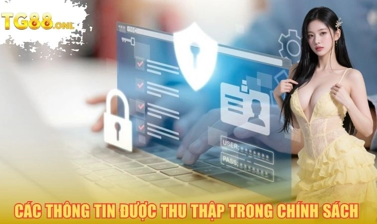 Các loại thông tin được thu thập trong chính sách bảo mật