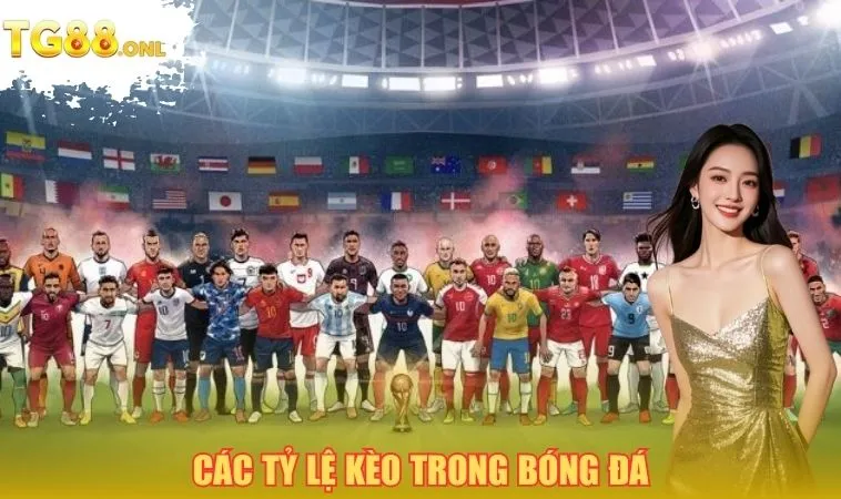 các tỷ lệ kèo trong bóng đá